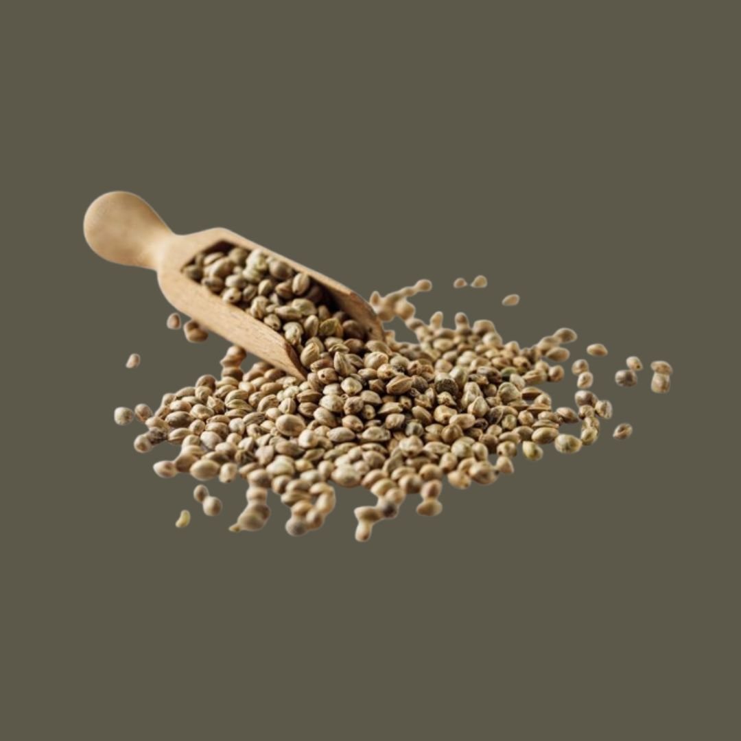 handpicked red chillies handpicked red chillies